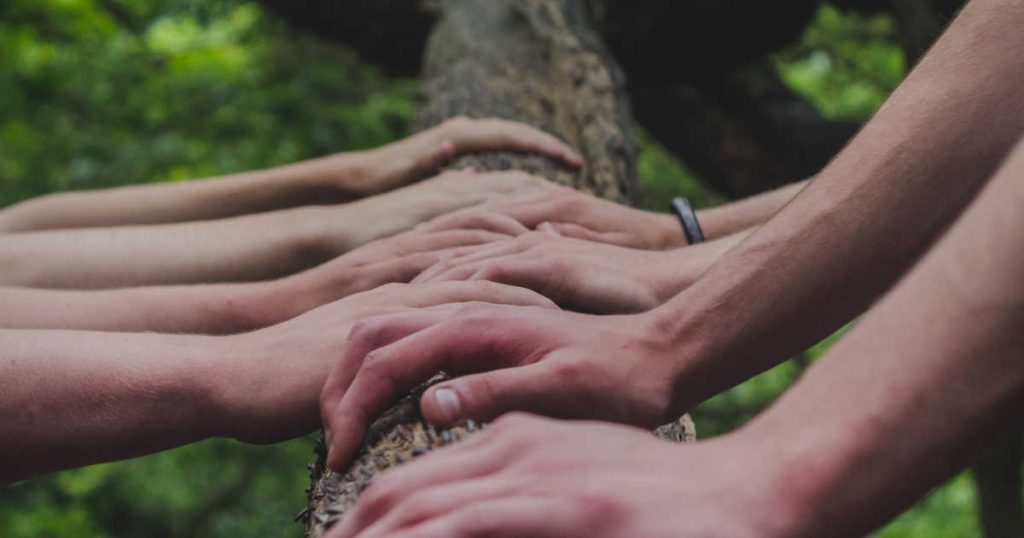 Diverse mani che toccano il tronco di un albero