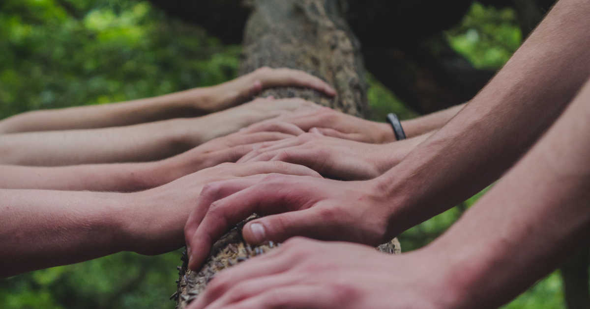 Diverse mani che toccano il tronco di un albero